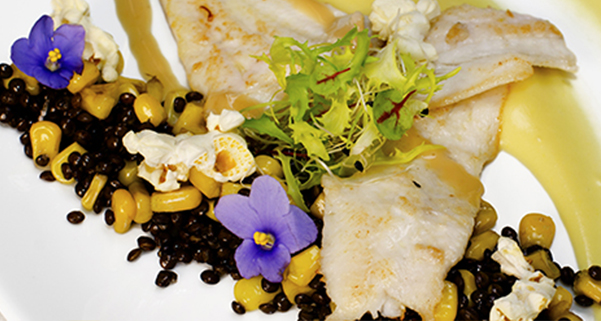 Halibut s bramborovým pyré a teplým salátem z černé čočky a kukuřice Halibut s bramborovým pyré a teplým salátem z černé čočky a kukuřice