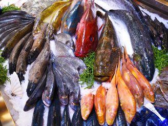 JIP Svět potravin Jilemnice - JIP Potraviny